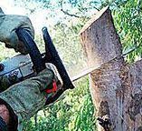 Best Hazardous Tree Removal  in Meeker, OK