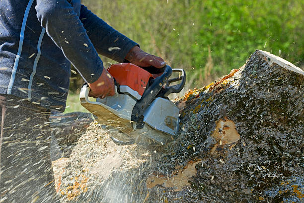 Best Lawn Watering Services  in Meeker, OK